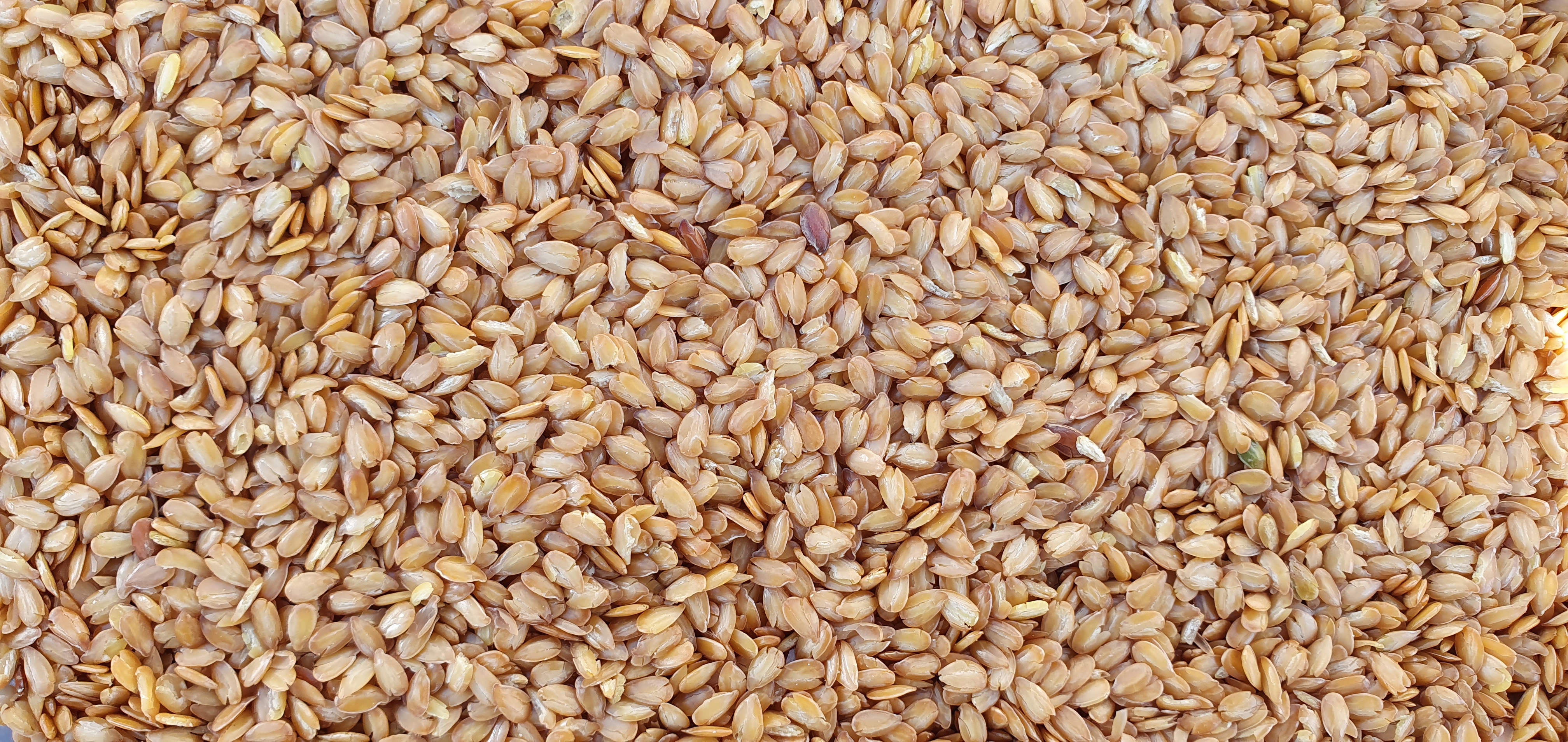 Brown Organic Flaxseeds
