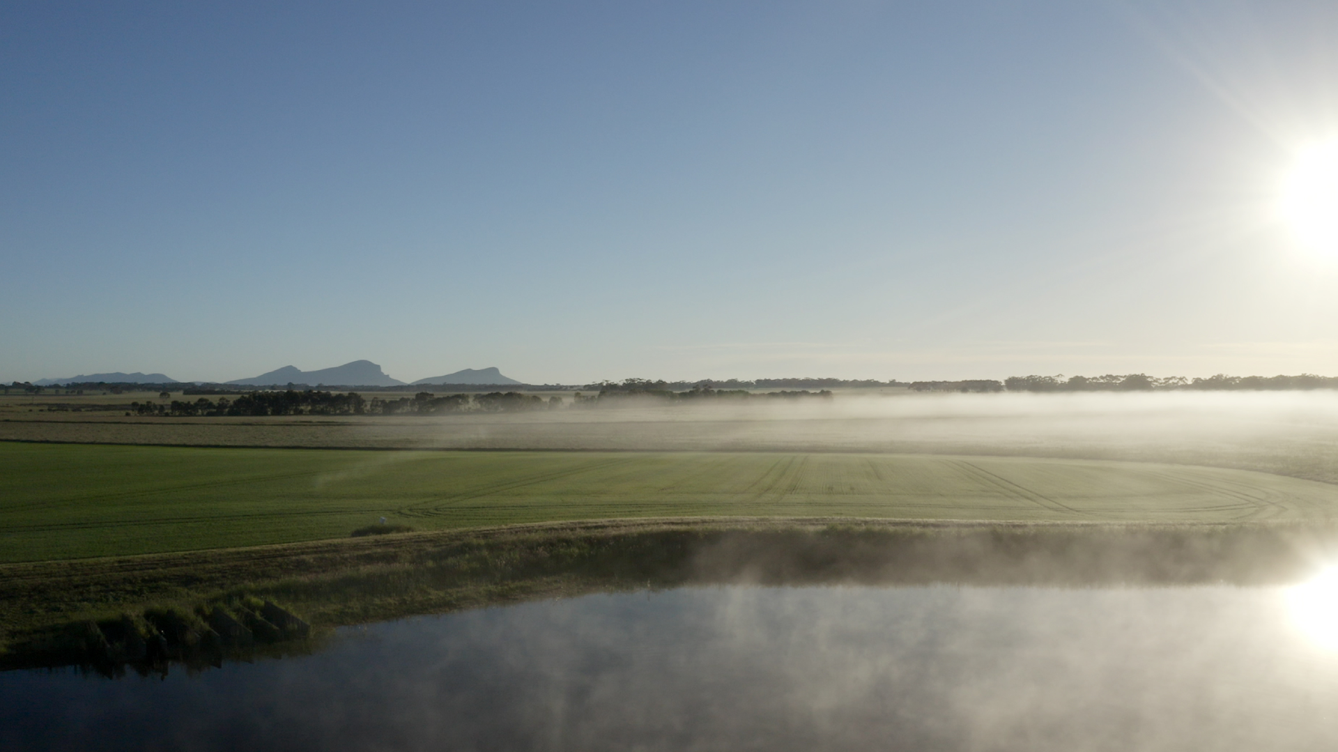 Australian grown certified organic flaxseed brought to you nutritionally intact