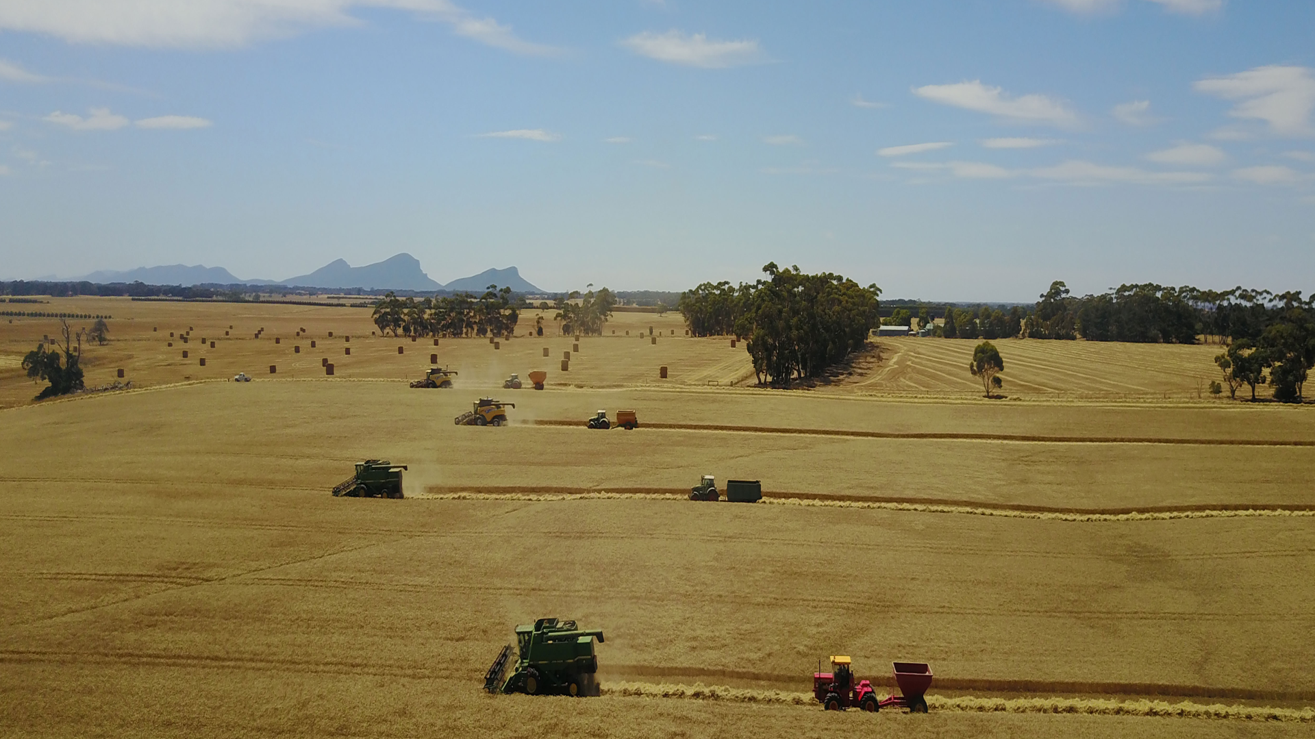 Australian grown certified organic flaxseed brought to you nutritionally intact