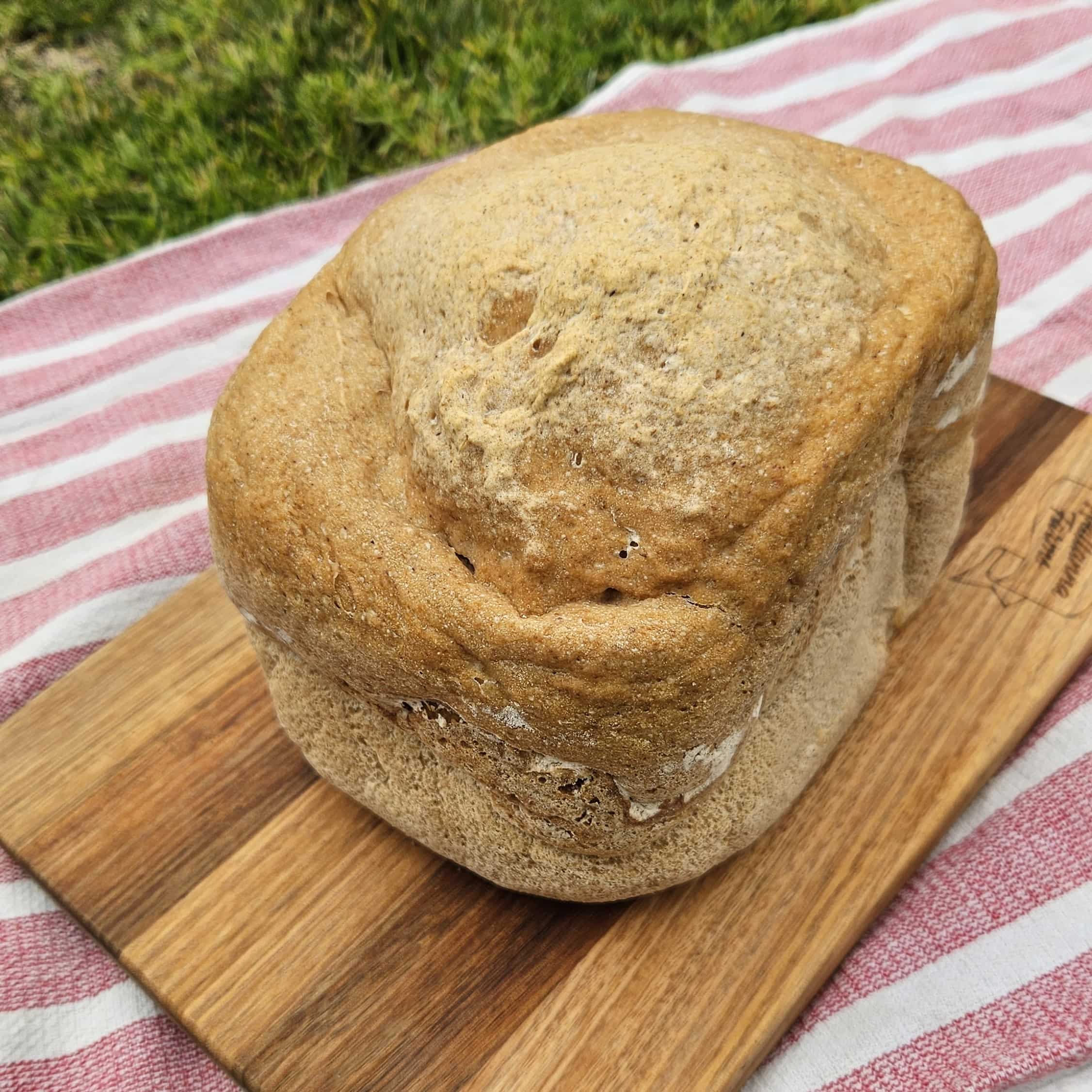 Gluten Free Bread