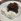 Gluten Free Chocolate Self Saucing Pudding Recipe