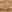Golden Snap Bar Recipe