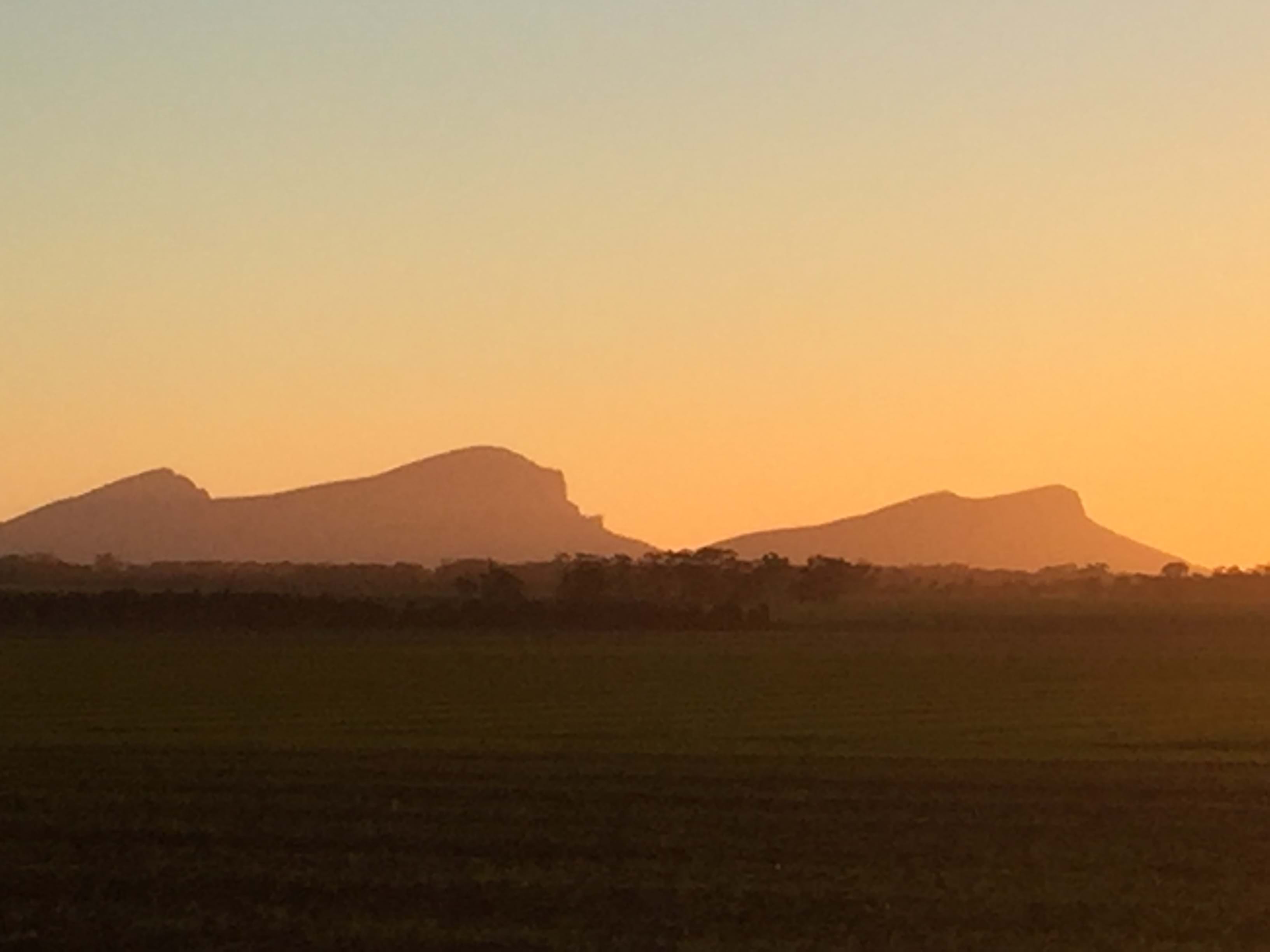 Flaxseed Farm Sunset