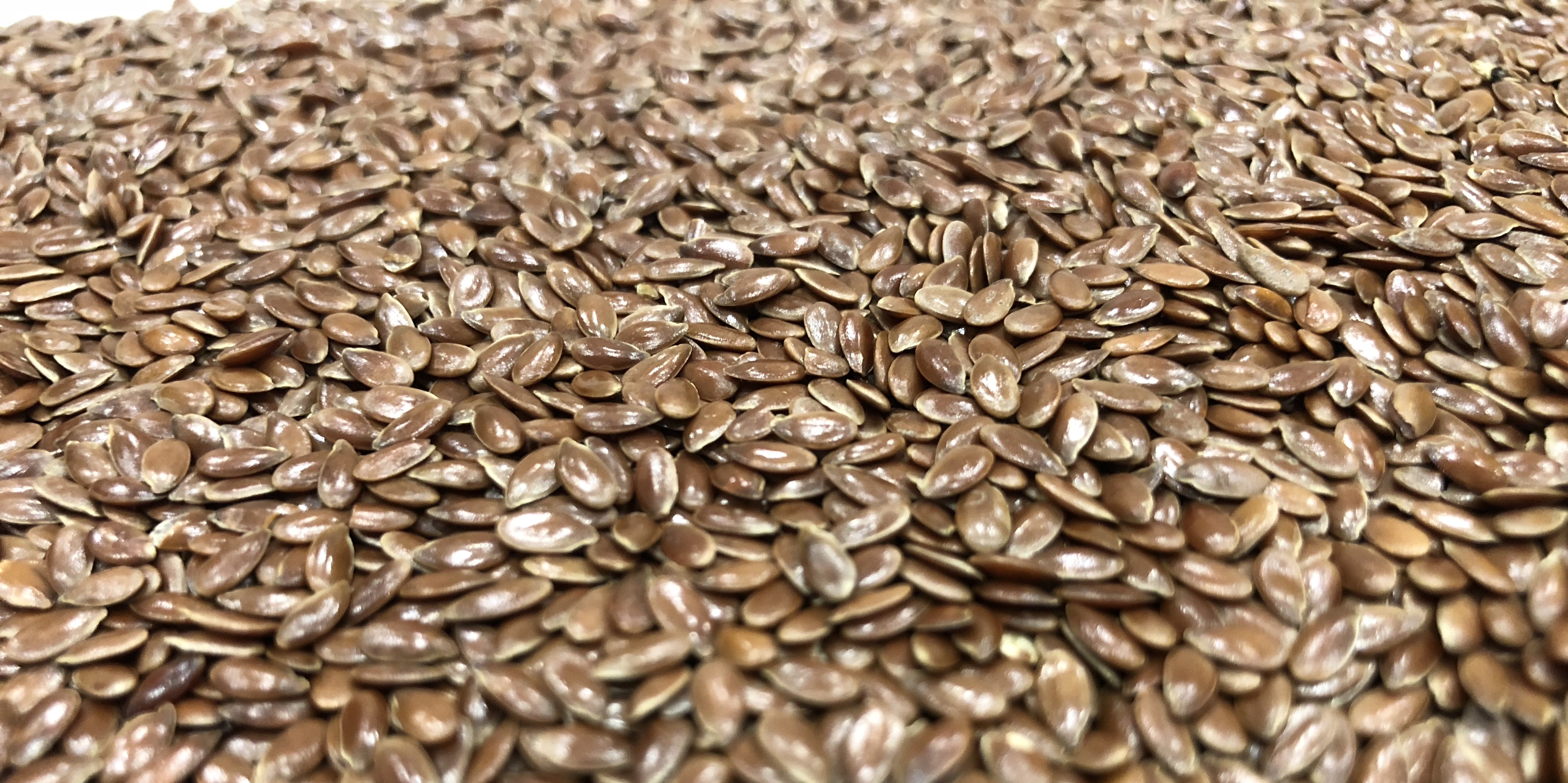 Brown Organic Flaxseeds