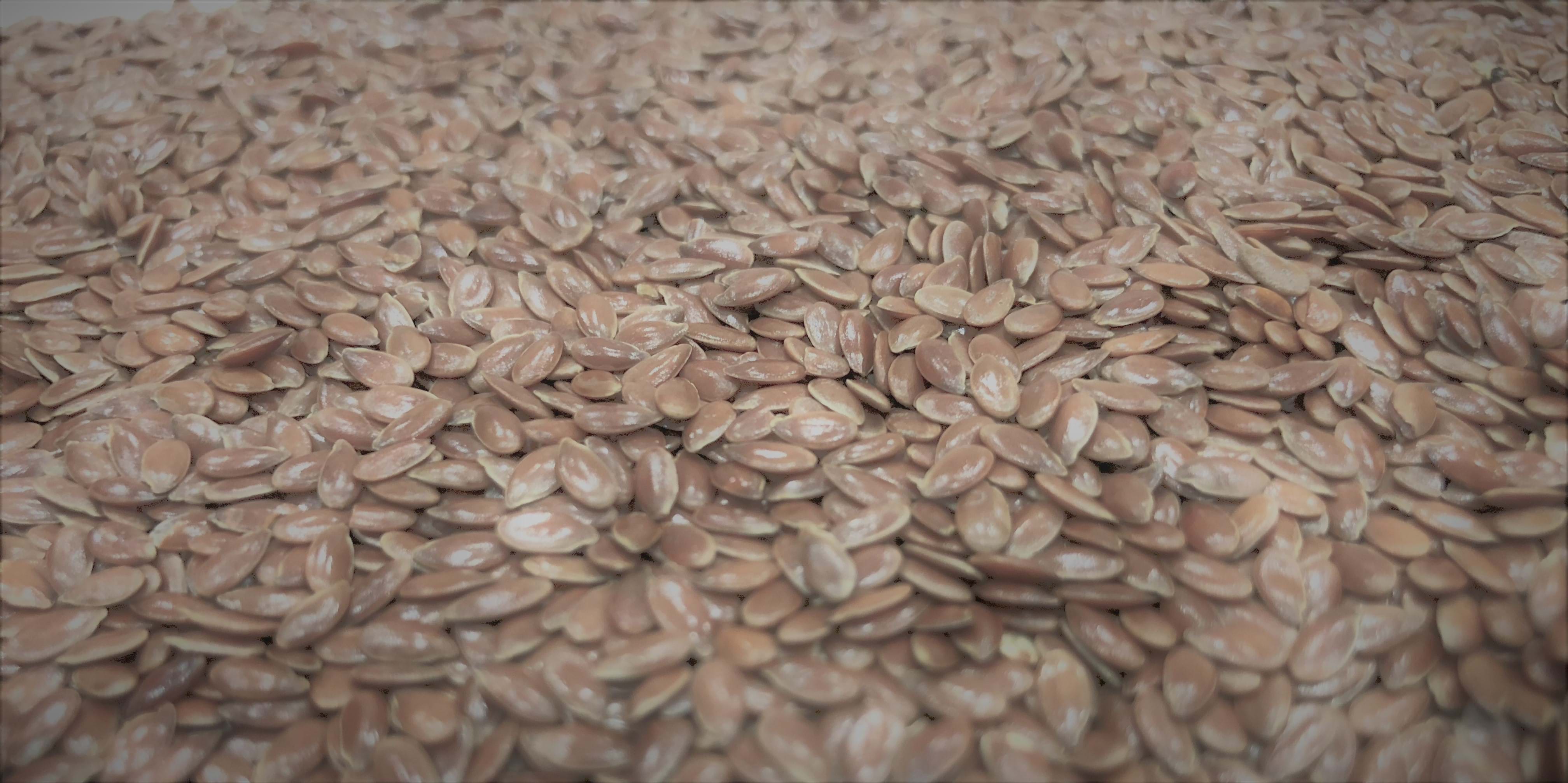 Flaxseed Up Close