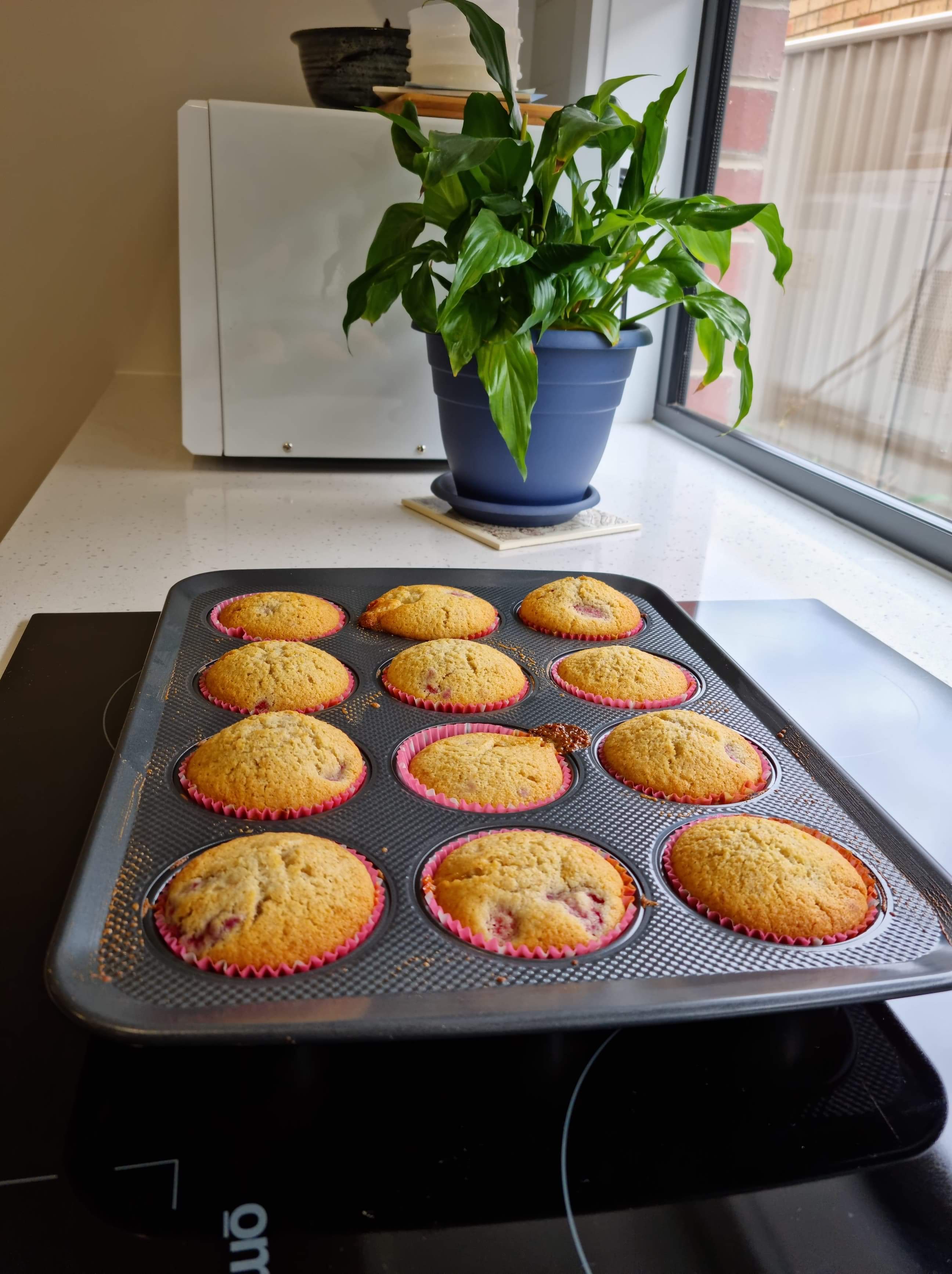 Gluten Free Muffin Tray