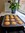 Gluten Free Muffin Tray