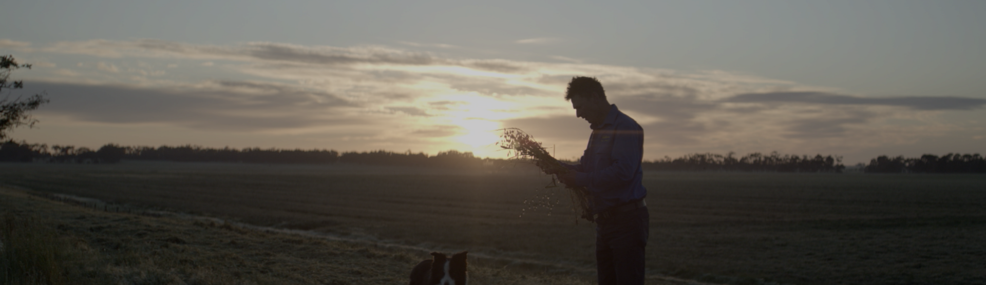 Nurtured from seed to packaging with health benefits for the whole family