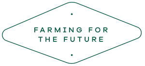 Building For the Future